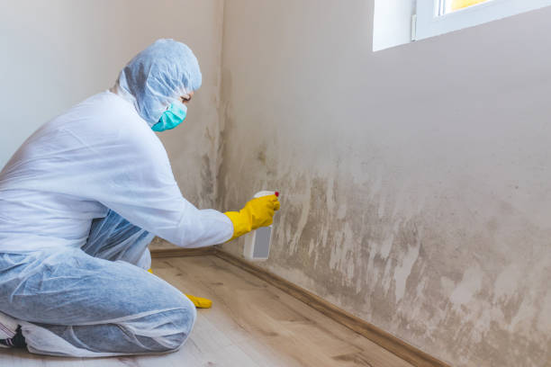 Mold inspector in Moon performing thermal imaging